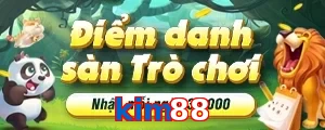 kim88